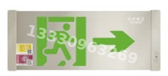 成都敏华NST消防应急灯具-小型单面轴画标志灯